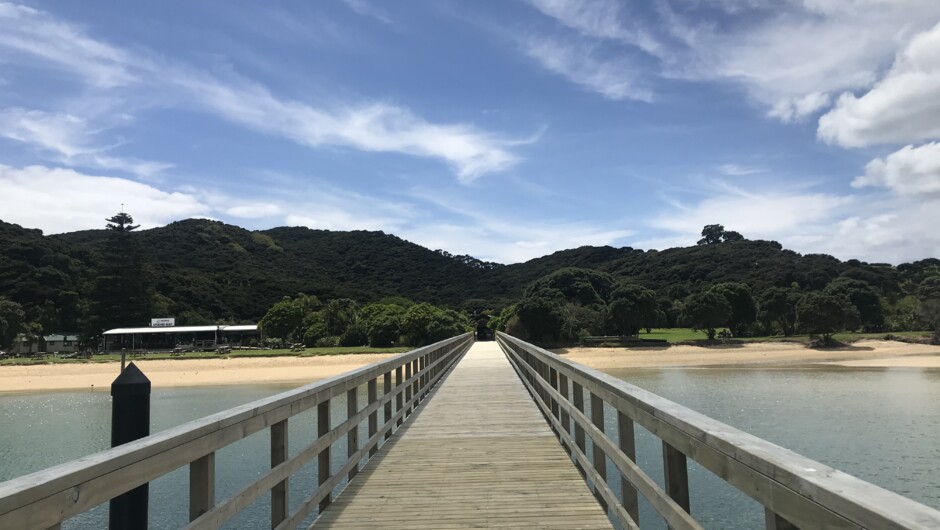 Otehei Bay the perfect location for the rest of the day.  Drop off option available on the morning cruise.