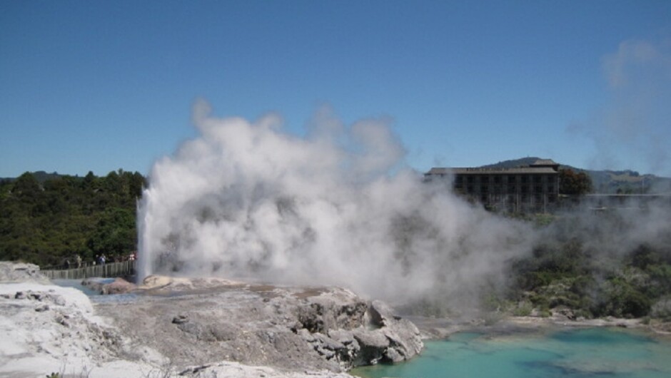 Pohutu Geyser