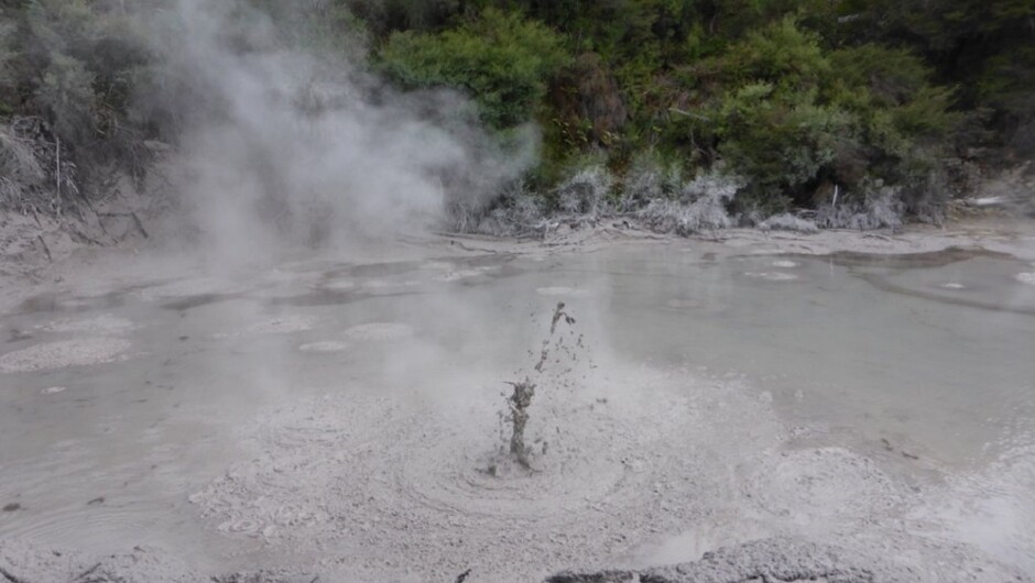 Boiling Mud