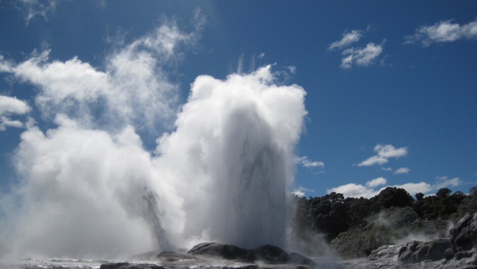 Pohutu Geyser