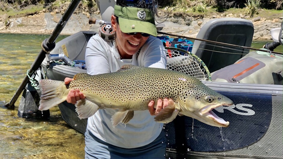 A dry fly eating trophy brown trout captured and released on one of our Edge of Fiordland Float Trips.