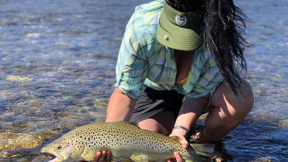 A nice brown trout from one of the local streams prior to release.