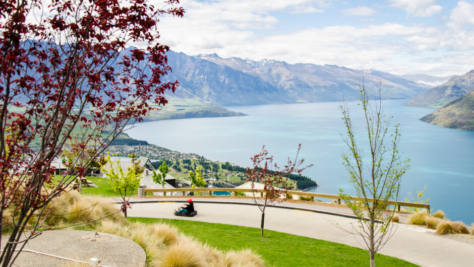 Sledging in Queenstown