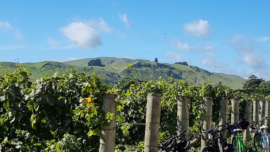 Luna Estate Martinborough