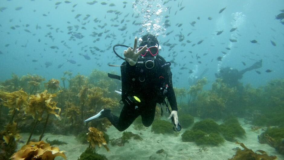 Women in scuba