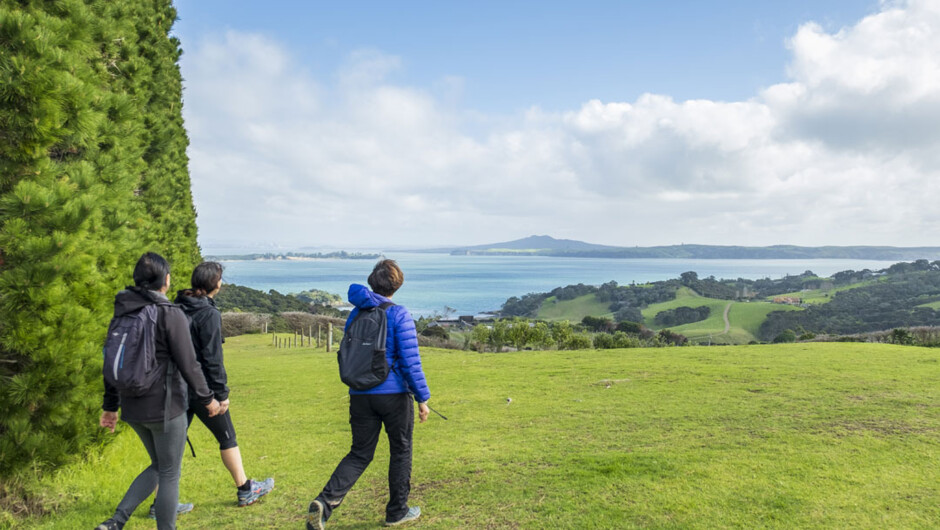 On Waiheke Island, there is a gorgeous view around every corner