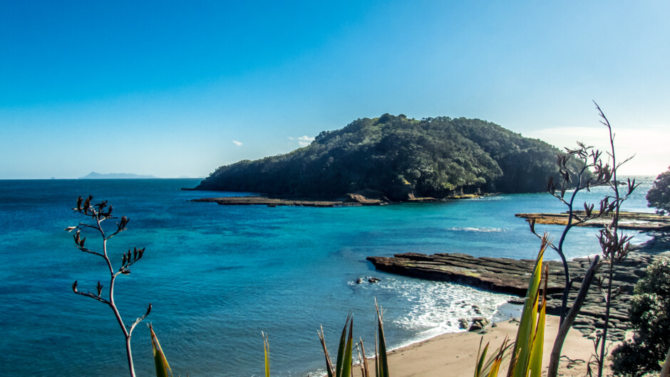 Goat Island Marine Reserve.