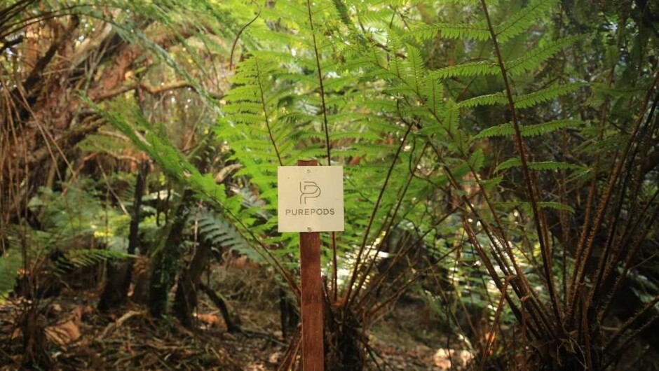 Signs lead you through the walking track - bring your backpack not your suitcase for this meandering bush walk (which has some steps) towards  Tokoeka PurePod.