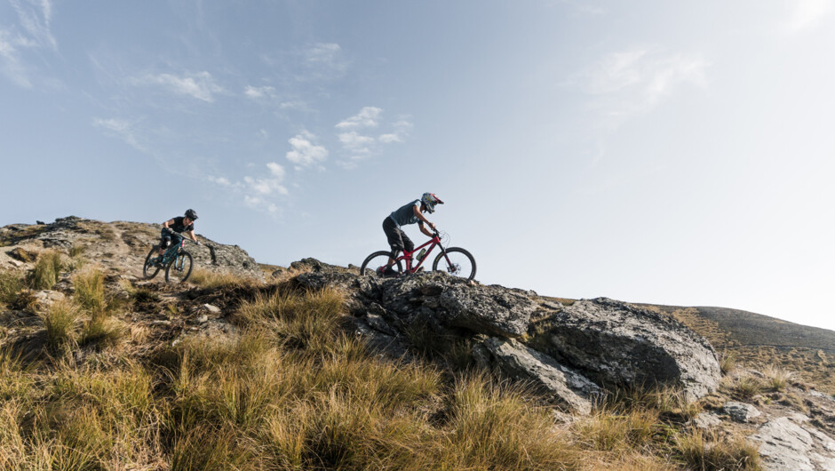 Cardrona Summer Mountain Biking