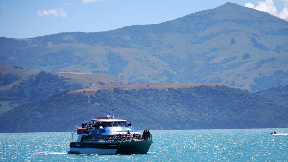 Harbour cruise