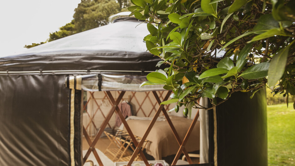 Puriri Yurt