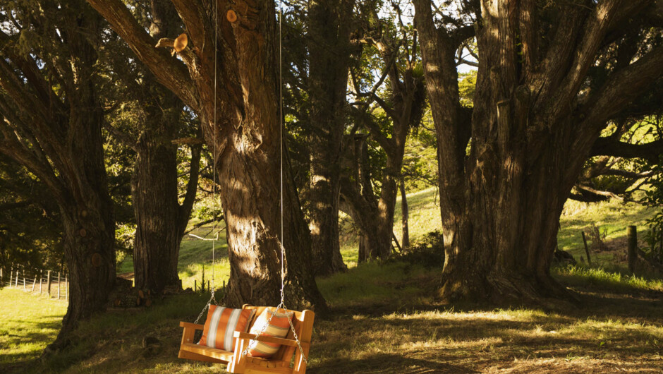 Puriri Yurt