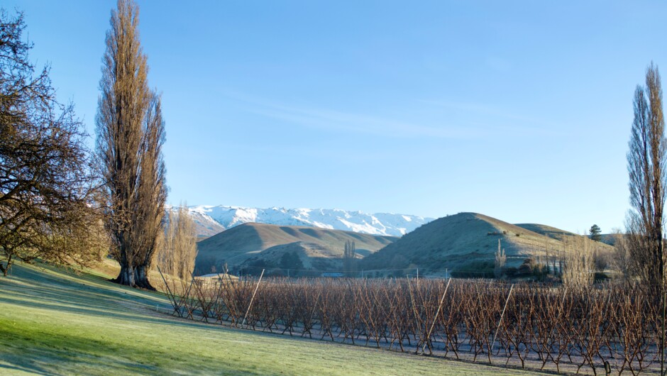 Lovely winter day at Jackson Orchards