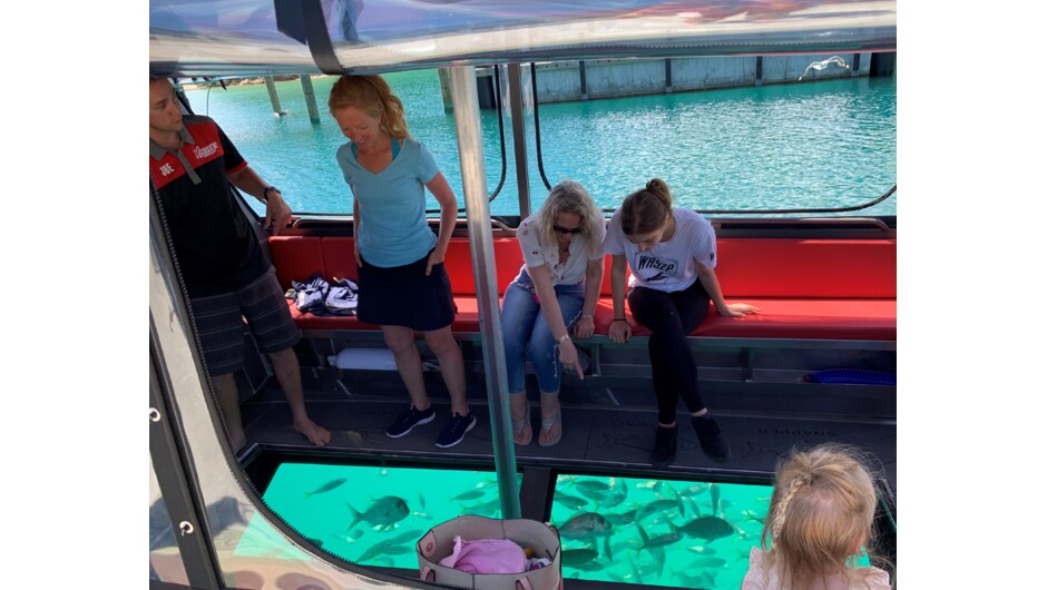 Fish viewing through the Glass Bottom at Otehei Bay