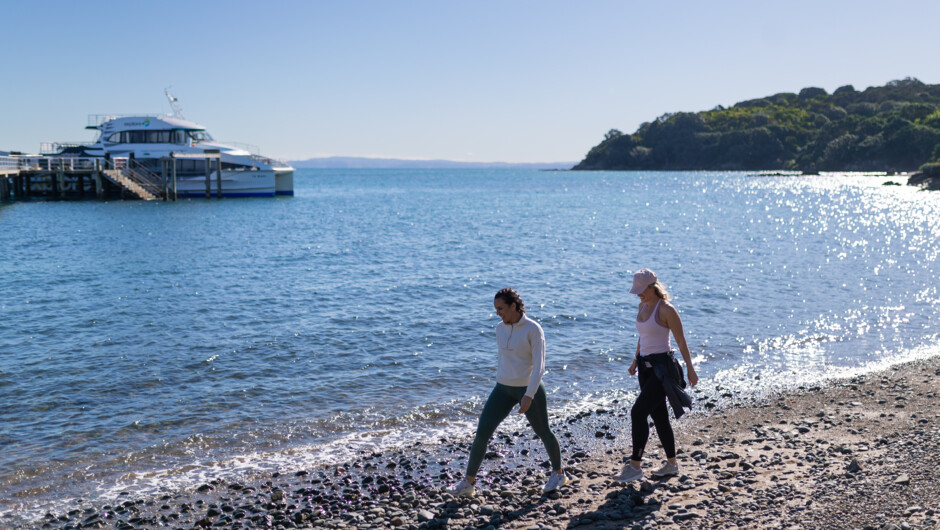 Walking on beach at Tiritiri Matangi Island