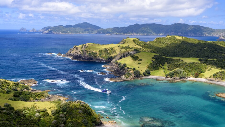 Cruising through the Bay of Islands