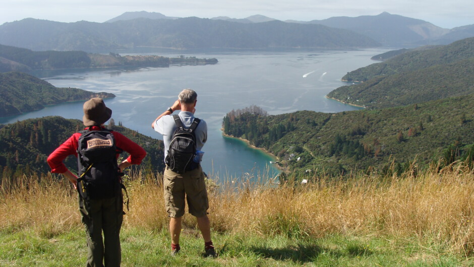 Gorgeous ridgeline views overlooking the convuluted bays and coves of Queen Charlotte Sound on Queen Charlotte Track