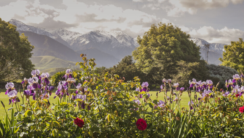 Mountain and garden view from our guest patio, watch the changing scenery with a different view all year round - from spring flowers, lazy summer sun, golden autumn foliage and winter snow on the mountains.