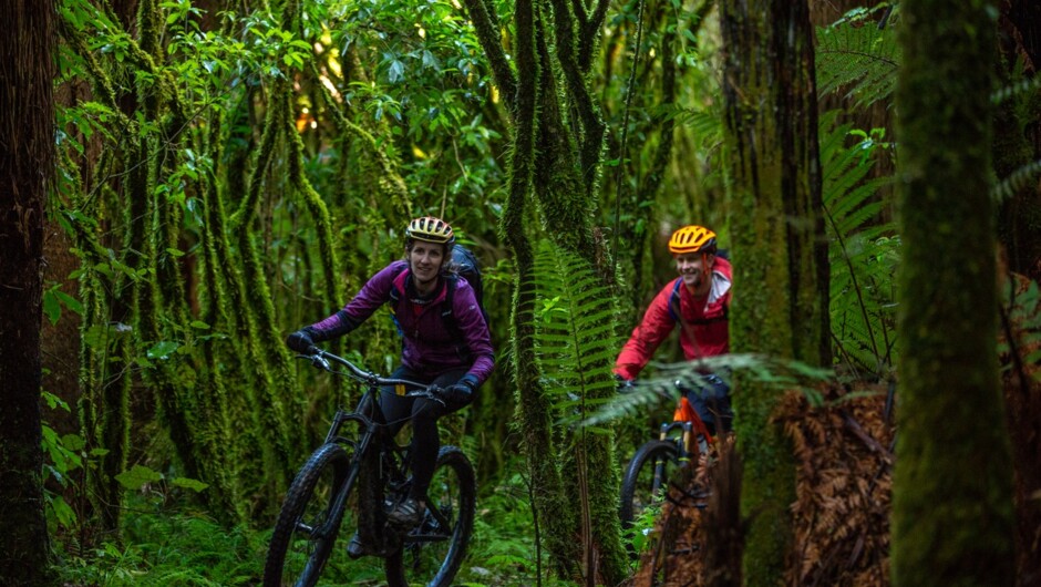 The option to explore Ohakune Old Coach Road via bike