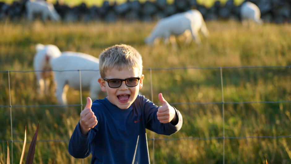 Farm tours