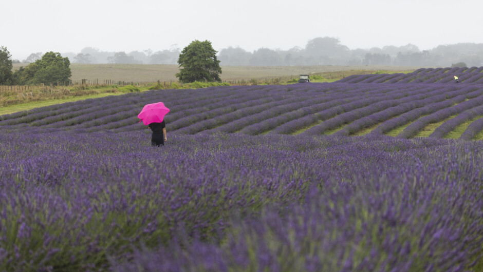 Raining over the field.