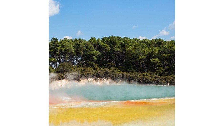 Peppered with natural hot springs, boiling mud pools and steaming geysers, Rotorua sits within one of the worlds most active volcanic regions. Geothermal landmarks aside, this city has a rich indigenous history.