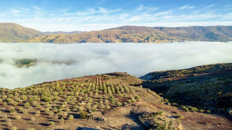 When the clouds are low in the valley the view is breathtaking from above.