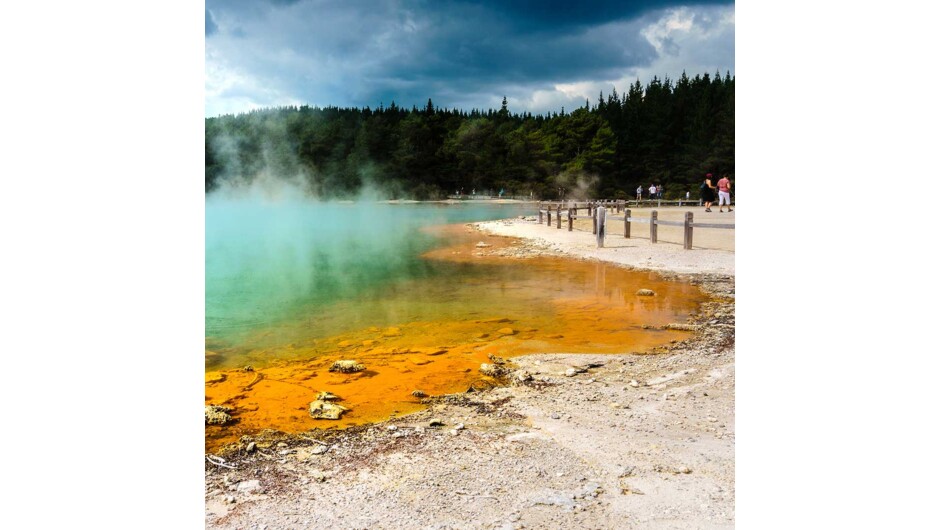 Champagne Pools Rotorua