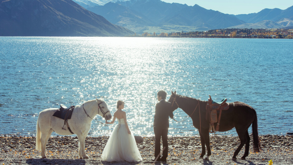 Lake Wanaka and horses