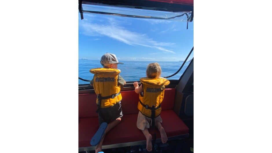 Glass Bottom Boat Trips are perfect for the whole Family