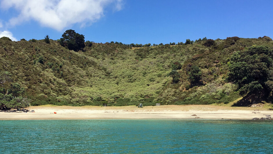 Cactus Bay on the Bush & Beach Walk