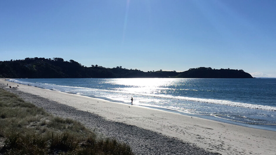 A "crowded" beach on the Waiheke Island Bush & Beach Walk