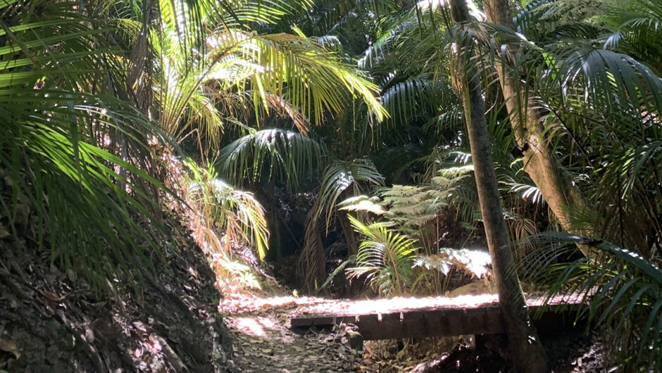 Bush & Beach Walk