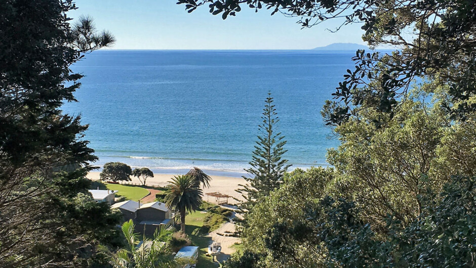 Waiheke Island Bush & Beach Walk