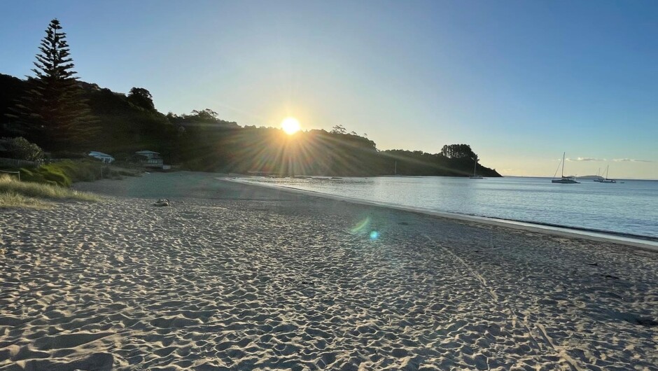 Palm Beach, Waiheke Island. Enjoy a stroll along these golden sands on a Waiheke Mini Tour.