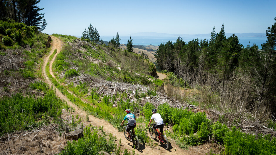 Climbing up to the high point of the back country epic.