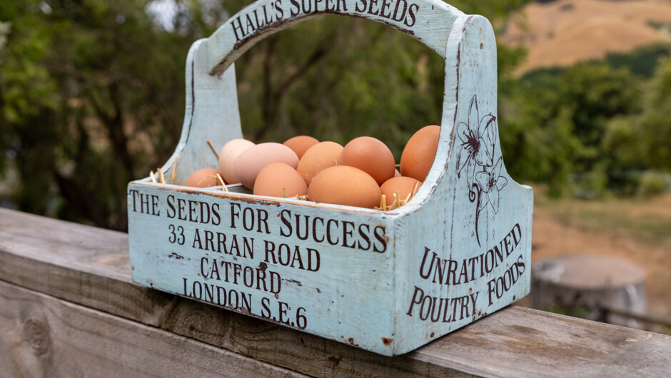 Farm fresh eggs.