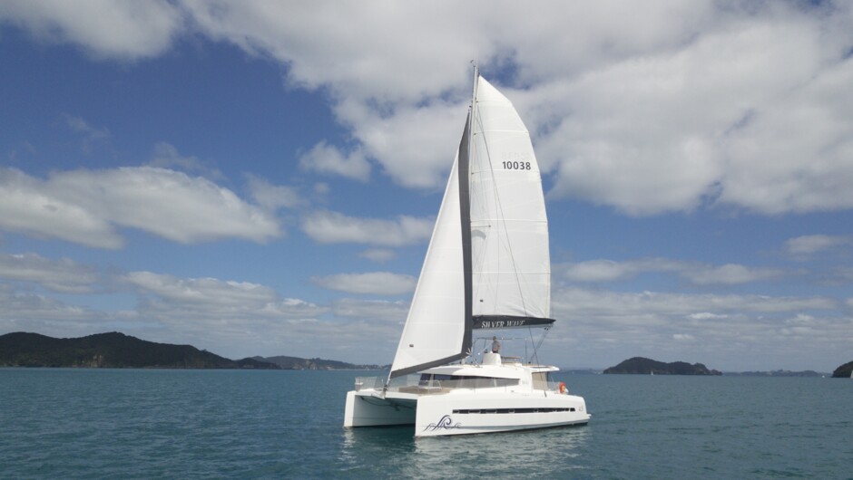 Sail peacefully through the Bay of Islands.