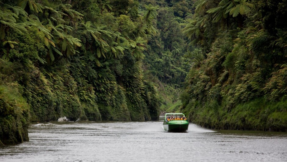 Venturing through a deep gorge on the Whanganui River