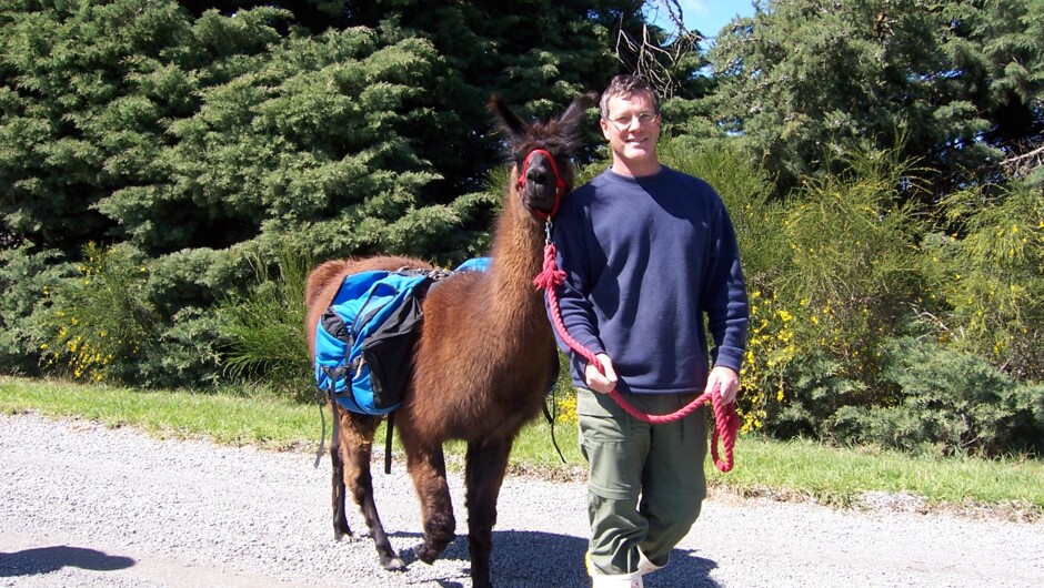 Taster Llama Trek - Kaikoura Llama Trekking