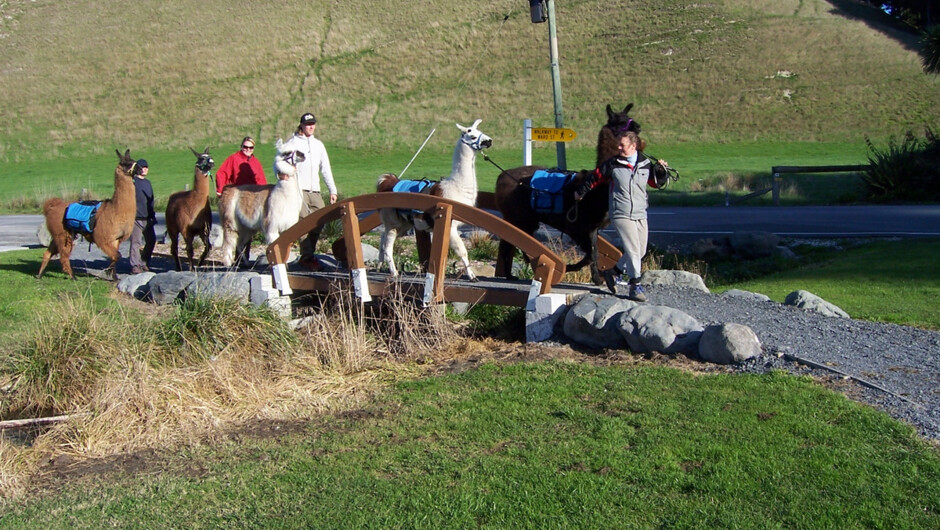 Cute bridge - Half-day Llama Trek - Kaikoura Llama Trekking