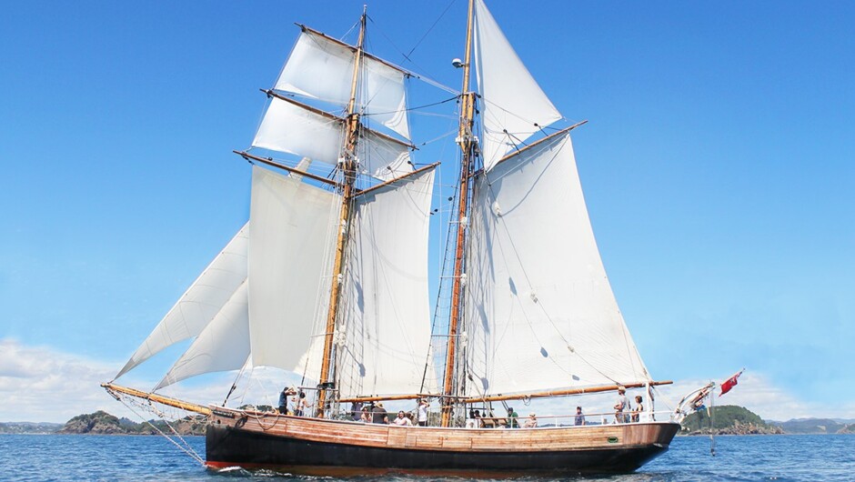 Sail in one of the most beautiful places in New Zealand