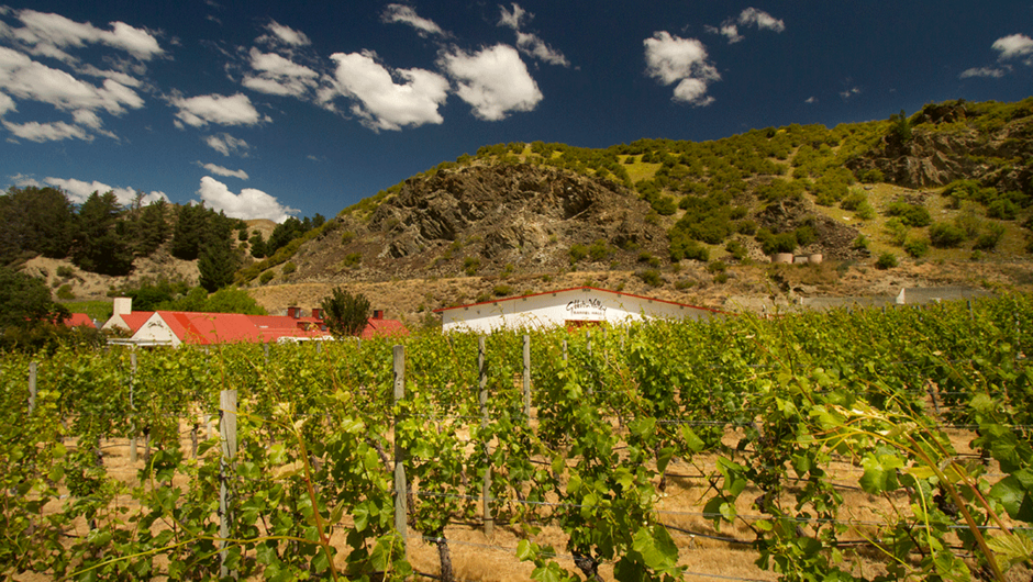 Gibbston Valley Winery, Queenstown