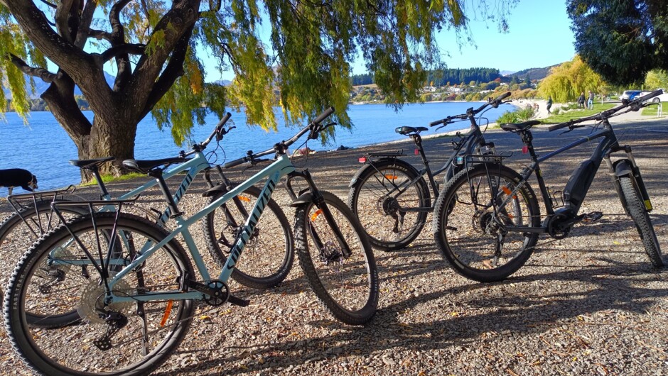 On the lakefront in Wānaka. Guests often ride around to the Wānaka Tree and often get a drink and chips in the Edgewater Hotels Garden Bar. We love our well maintained bikes - they even have names.