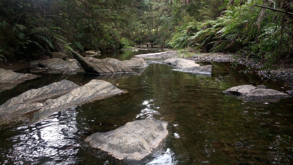 A spot on our 2km river that passes by the camps sites and below the visitor car park.  There is a walking track next to the river.