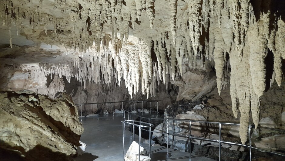 Inside the Milky Way Cave where we run the glow worm tours where you walk on a concrete path with stainless steel hand rails.