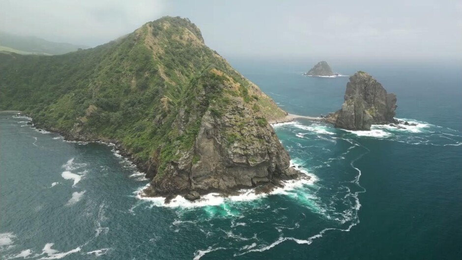 Coromandel Coastal Walkway Hike & Bike Combo