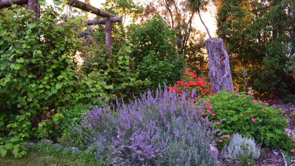 One of the ornamental beds.