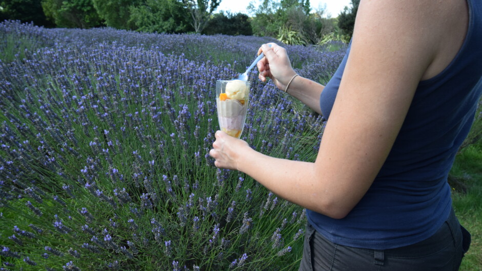 Lavender knickerbocker glory in the lavender.  We serve ice-cream in cones in the summer, tubs in the winter,  and as more speciality desserts.