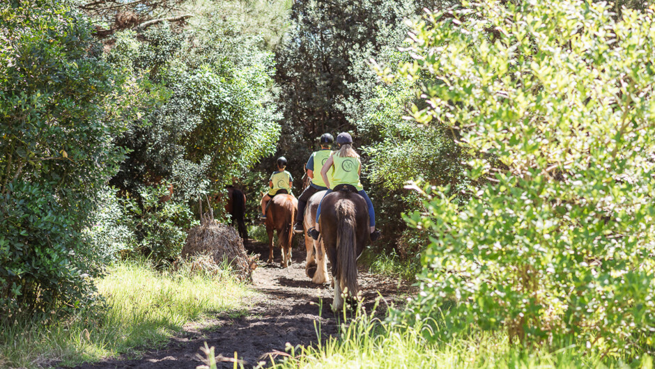 Woodhill Forest is a treat.